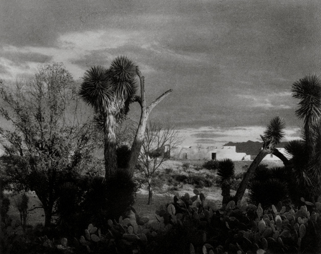 墨西哥萨尔蒂约附近